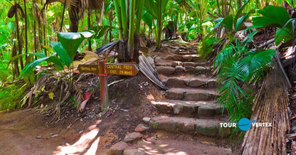 vallee de mai nature reserve - Things to do in Seychelles