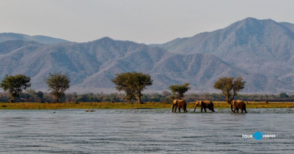 Mana Pools National Park