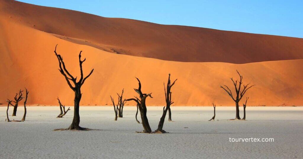 Top 10 Tourist Attractions in Namibia - Deadvlei